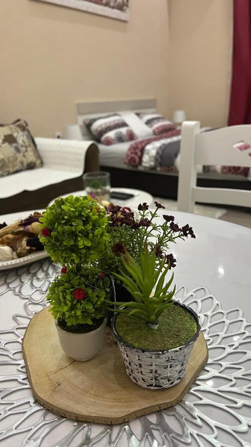 Apartment Downtown Подгорица Экстерьер фото