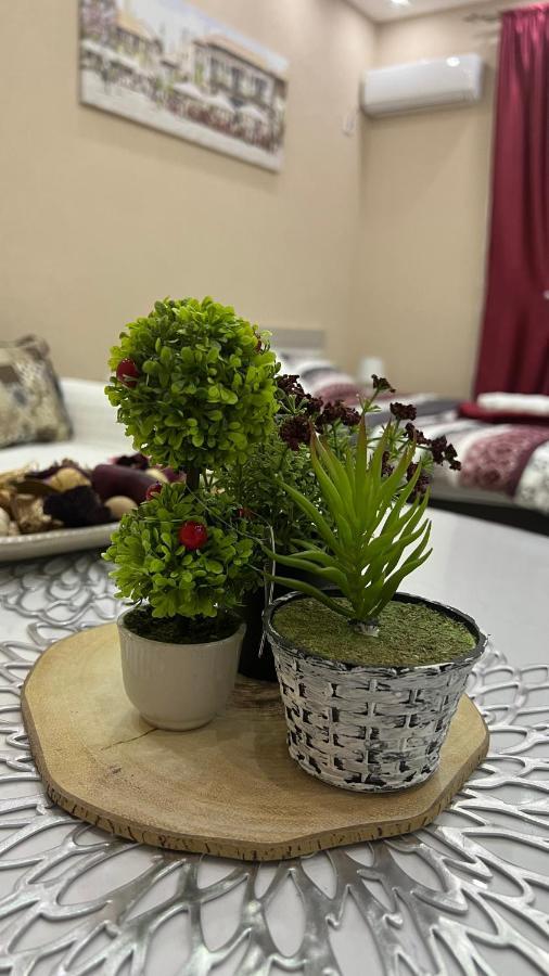 Apartment Downtown Подгорица Экстерьер фото
