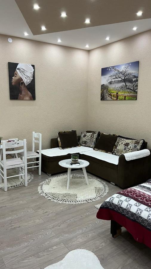 Apartment Downtown Подгорица Экстерьер фото